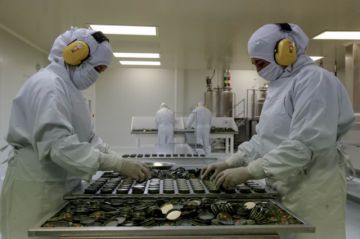 Mentisan en la fábrica de INTI