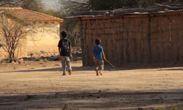 Villa Montes es declarado municipio endémico por casos de leishmaniasis visceral