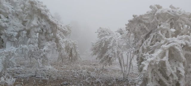 Nevada en la zona alta preocupa a familias campesinas de Tarija 