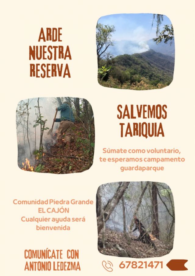 Movilizan voluntarios por incendio que amenaza Tariquía