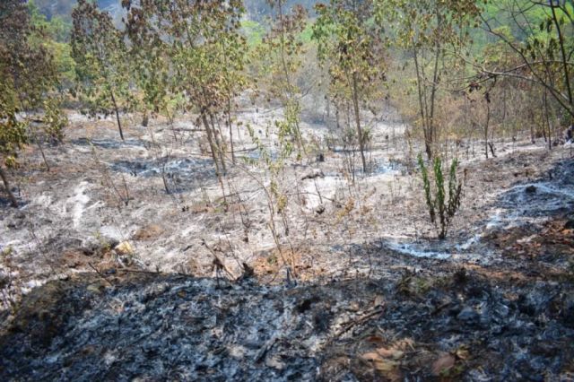 Identifican a inescrupulosos que prendieron fuego en Bermejo