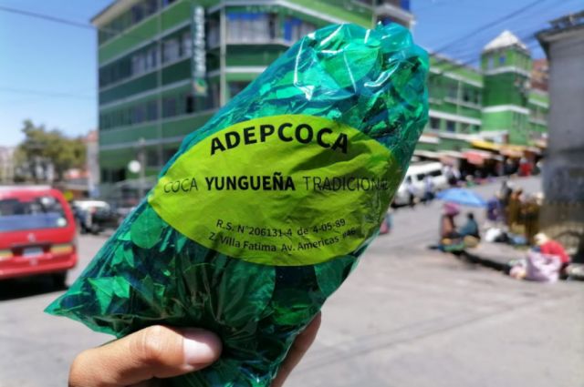 Aprehenden a otro dirigente cocalero de Yungas
