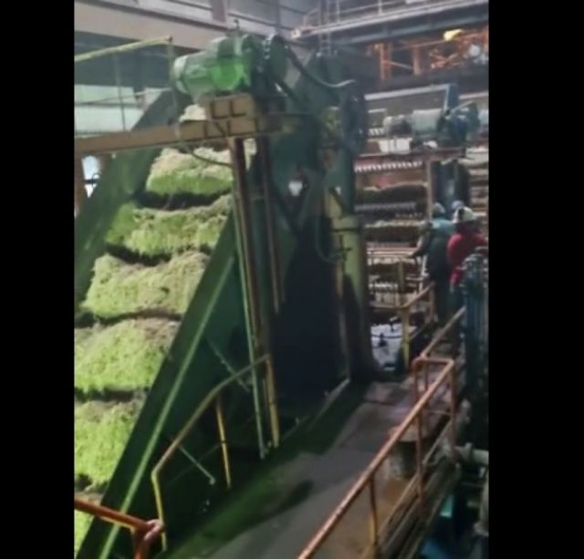 Concluye la zafra en Bermejo, la producción de azúcar "no supera los 300.000 quintales"
