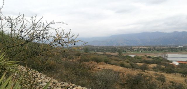 A orillas del lago San Jacinto 