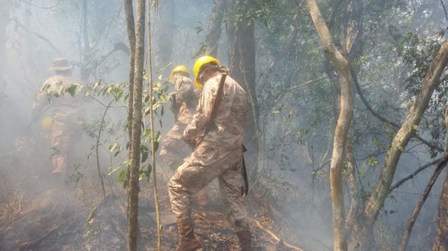 Tarija: Logran sofocar dos de tres incendios en Entre Ríos