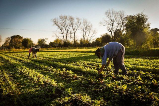 El reto siguiente es el de la alimentación