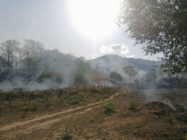 Despliegue inmediato de bomberos en Yacuiba logra sofocar incendio que amenazaba el Aguaragüe​