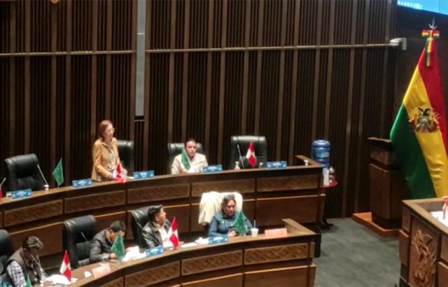 Ley del Censo tropieza en el Senado y facción ‘evista’ del MAS anuncia rechazo en Diputados