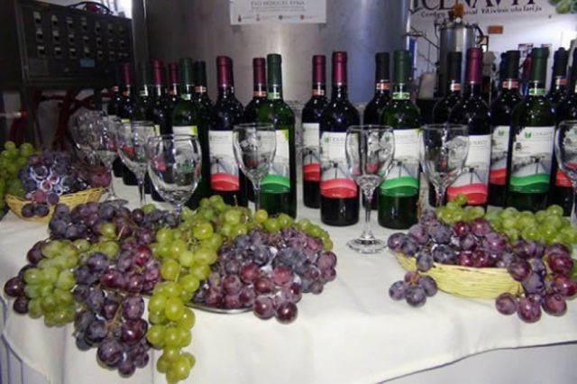 Tarija: Inician las Jornadas de Viticultura con la meta de ampliar mercados 