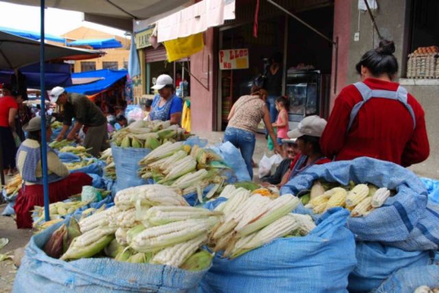 Sube otra vez el precio de la papa y escasea el choclo en Tarija