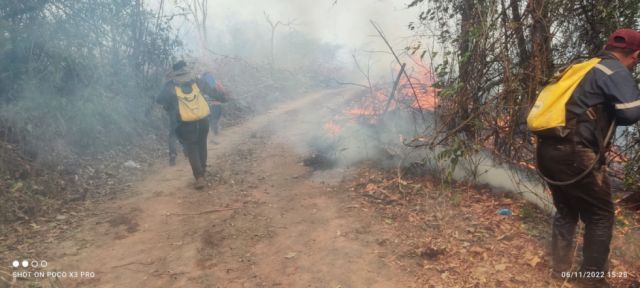 Incendios en Bermejo, Tariquía y Entre Ríos moviliza a la Gobernación y Defensa Civil