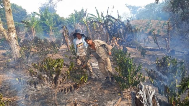 Desplazan bomberos y helicóptero a zonas de incendio forestal en cinco municipios de La Paz