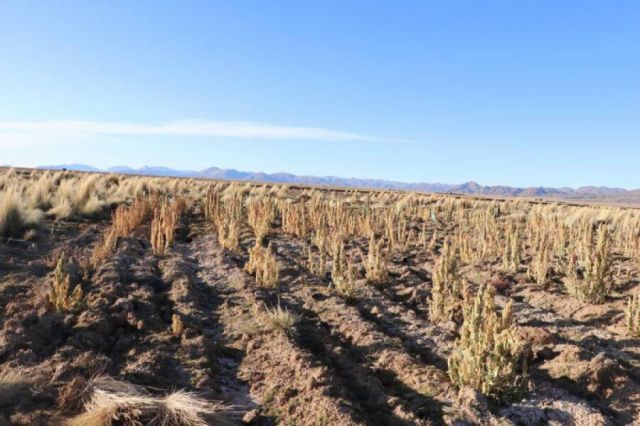 Calvimontes afirma que Bolivia está atravesando la ‘peor’ sequía de su historia