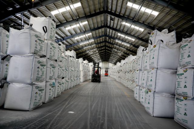 Luis Arce: YLB generó Bs 427 millones por ventas