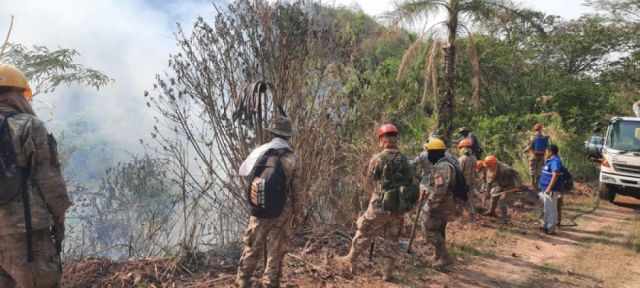 Incendios en Tarija fueron sofocados al 100% 