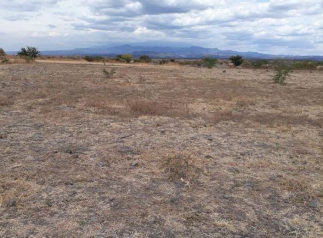 Denuncian la venta de terrenos comunales en Tolomosa 