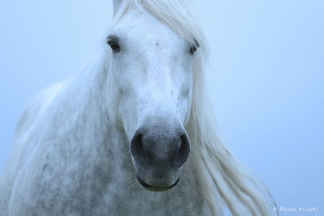 Retrato de un habitante de Yururi