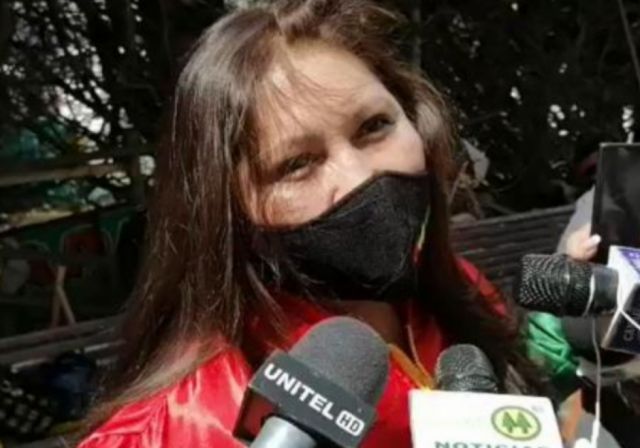 Reaparecen los abogados del perro Pantuque para defender al gato Tito: ‘somos más de 20’