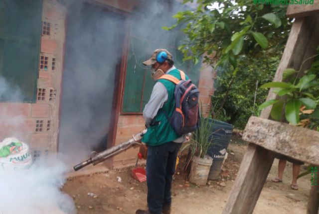 Tarija, entre las regiones endémicas de dengue, zika y chikungunya