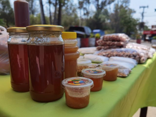 Productos apícolas agroecológicos.