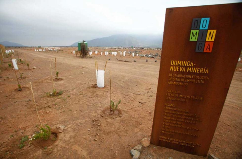 Chile: piden detener proyecto minero Dominga