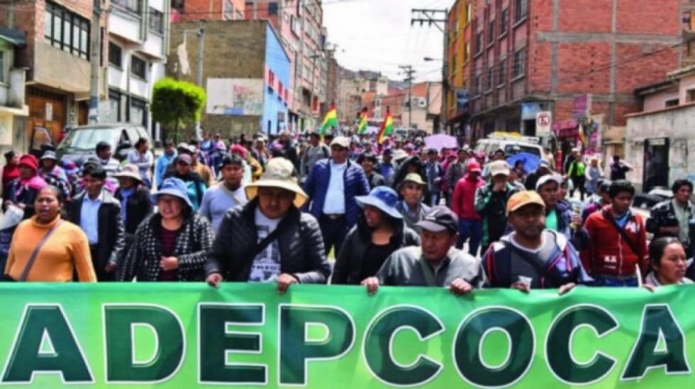 Cocaleros denuncian que el Gobierno se infiltró en Adepcoca para descabezar a la dirigencia