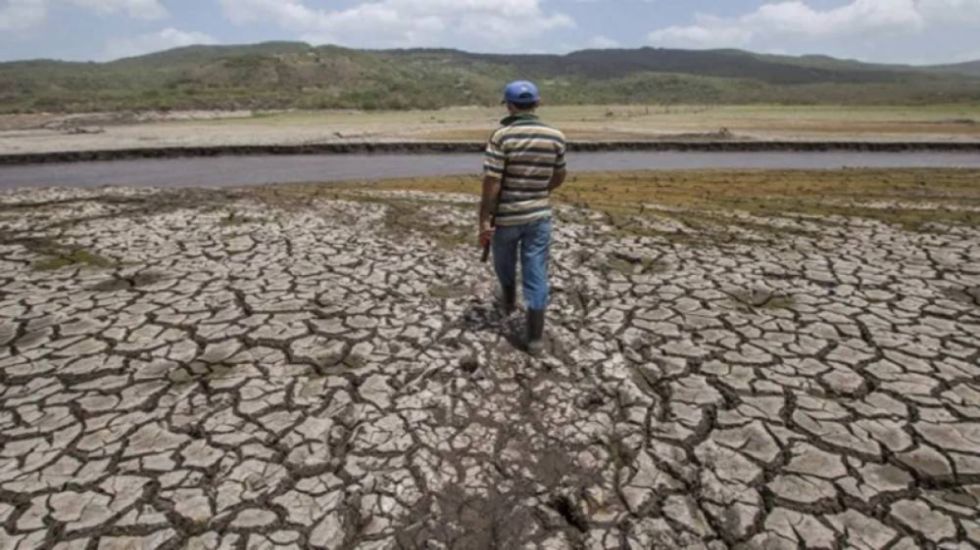 La sequía azota otra vez a productores de El Puente