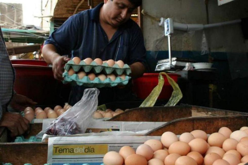 Tarija: Contrabando e informalidad suben el riesgo de gripe aviar 