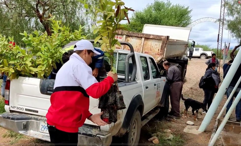 El PERTT entrega plantines a la zona de Colón Norte