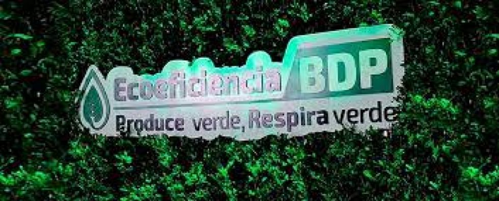 Créditos BDP buscan reactivar la economía productiva y cuidar el medio ambiente