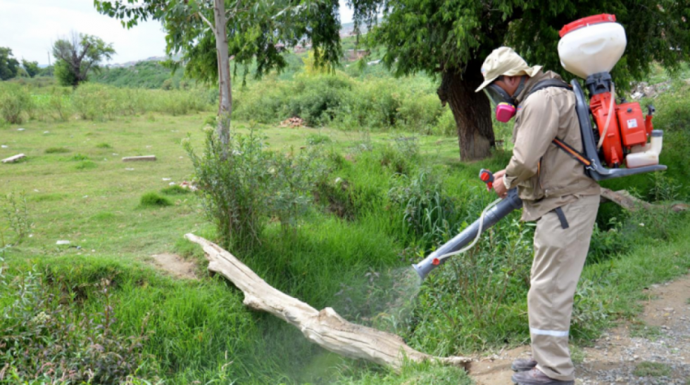 El Chapare se declara en emergencia por el dengue