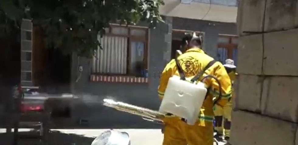 Los 10 mitos sobre dengue, zika y chikungunya