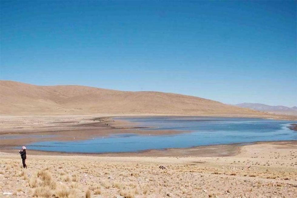 Tajzara, un humedal siempre amenazado