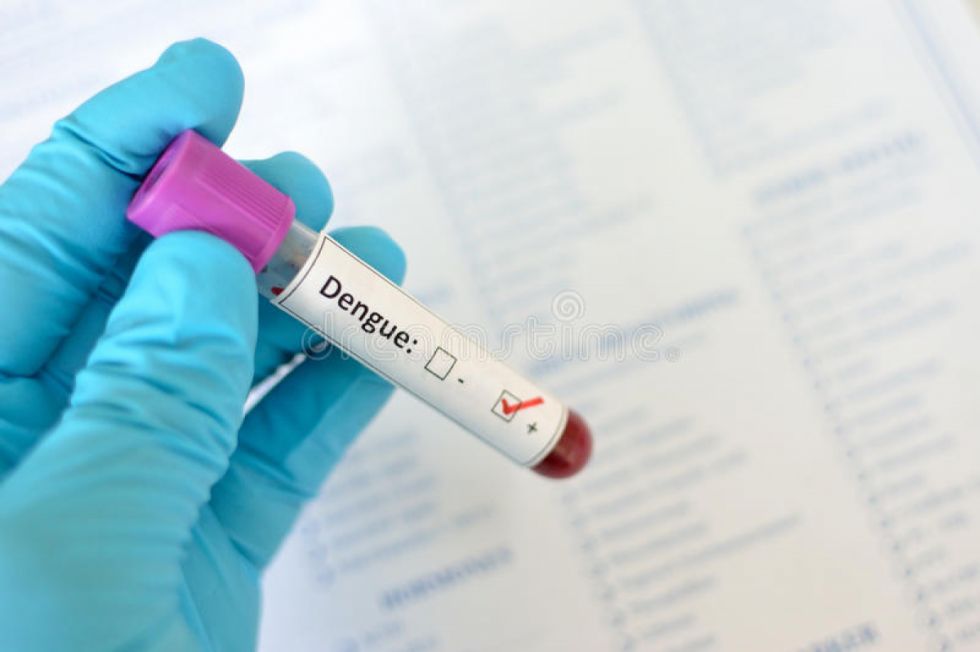 Suman 356 el número de casos confirmados de dengue en Tarija