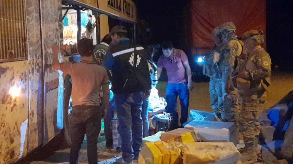 Decomisaron 5.000 pollitos en Tarija para evitar la gripe aviar	