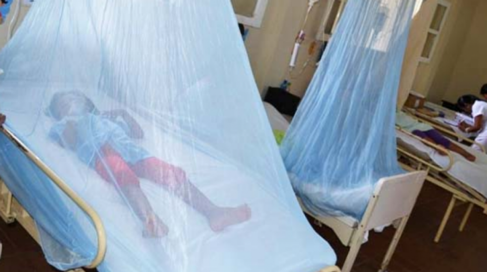 Otra niña muere por dengue en Santa Cruz; el 58% de todos los fallecidos son menores