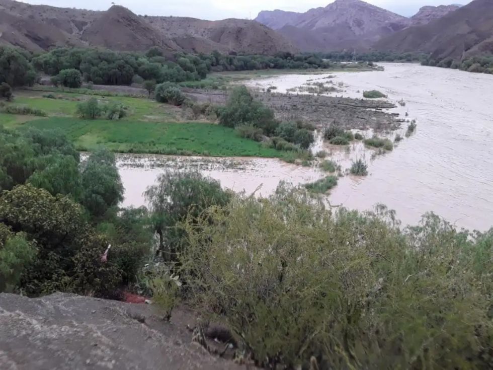 Reportan pérdidas agrícolas tras desborde del río San Juan del Oro