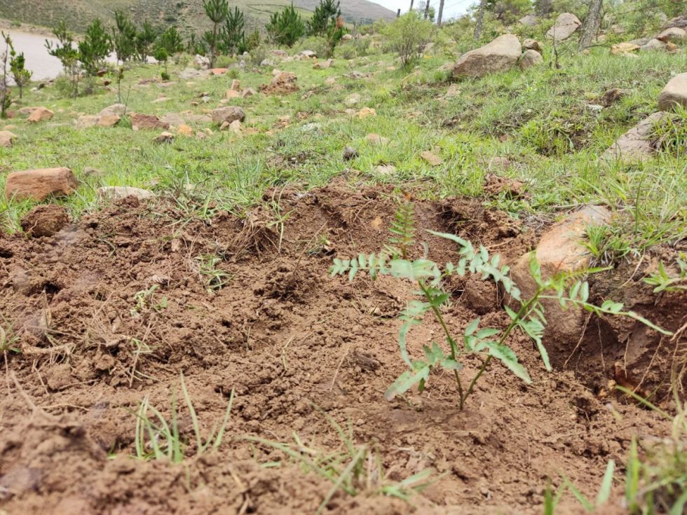 El PERTT busca restaurar las cuencas hidrográficas en Tarija 