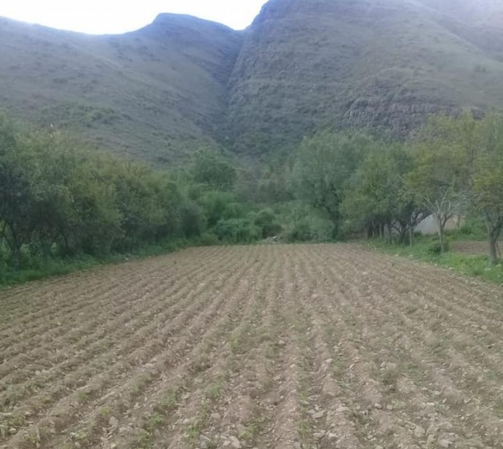 Crisis, negociados y la falta de leyes avivan los loteamientos en Tarija 
