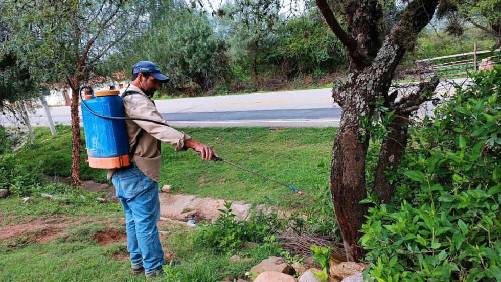 La rupa rupa afecta a cuatro municipios Tarija 