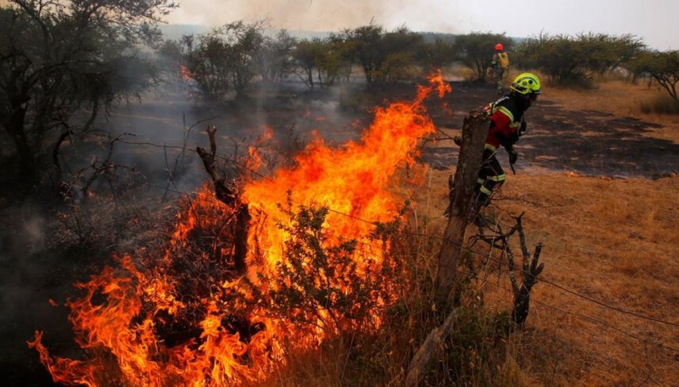 Disminuyen los incendios forestales en Chile