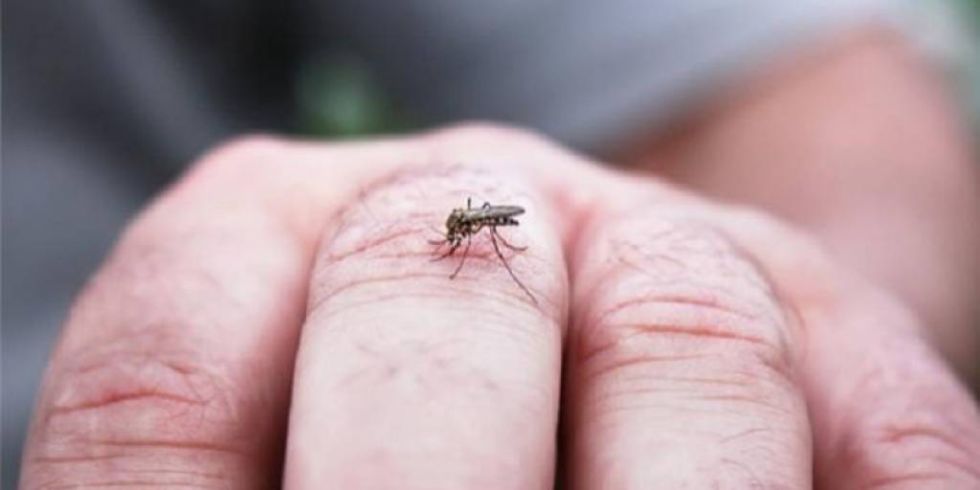 Dengue: Por qué puede ser grave una segunda picadura