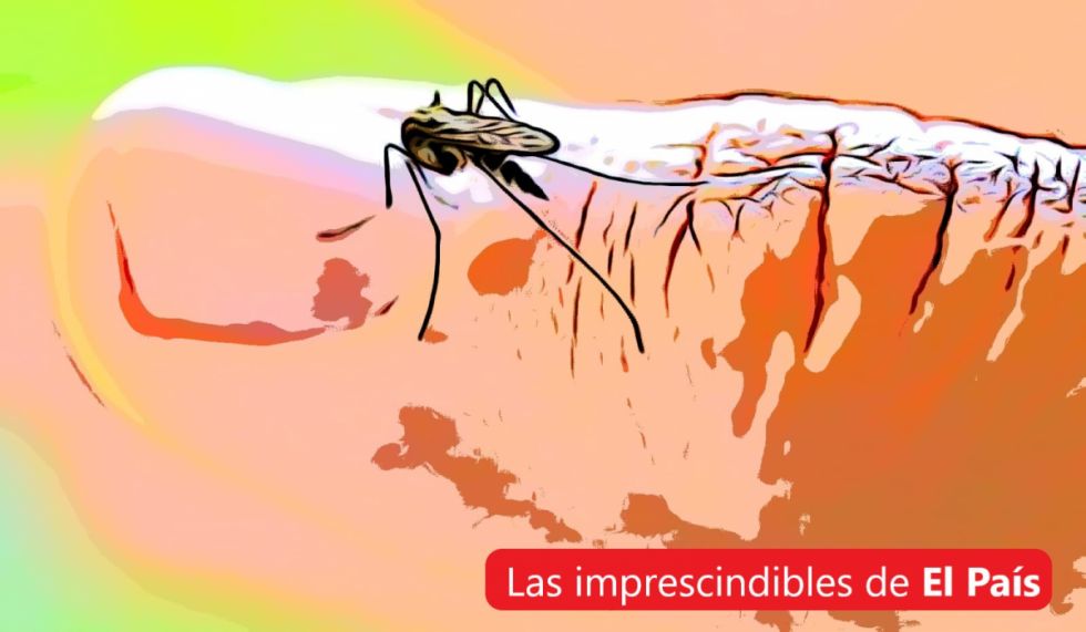 Lee las 5 imprescindibles de este último lunes de febrero
