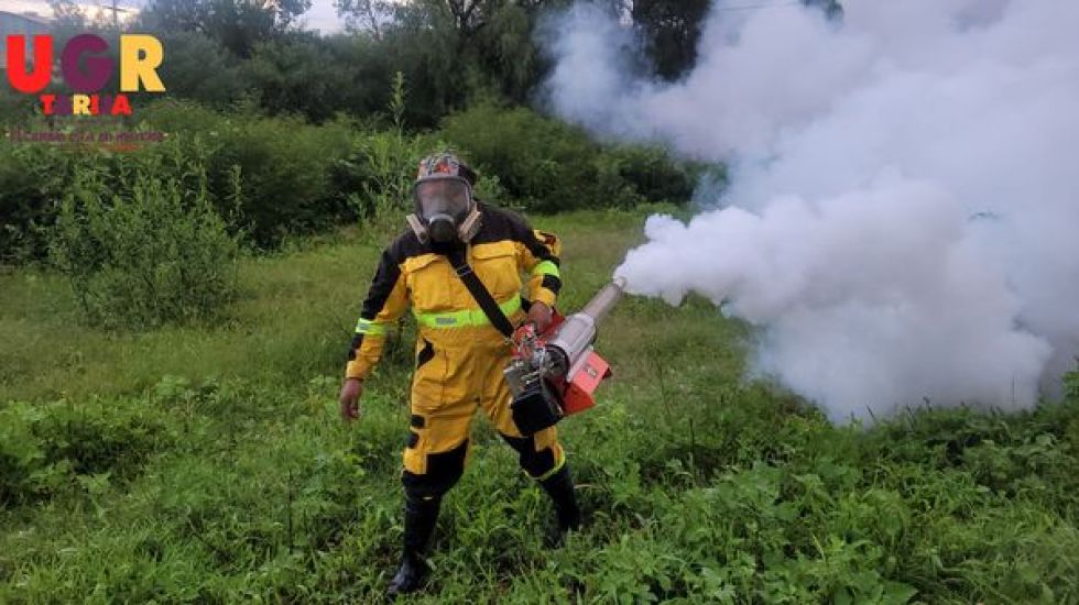 Dengue: Brigadas fumigan colegios y barrios de Tarija