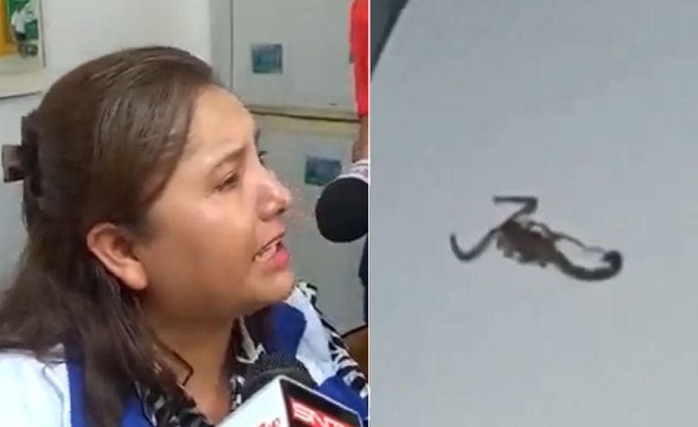 Viceministra denuncia que le pusieron un alacrán en la oficina donde trabaja en Santa Cruz