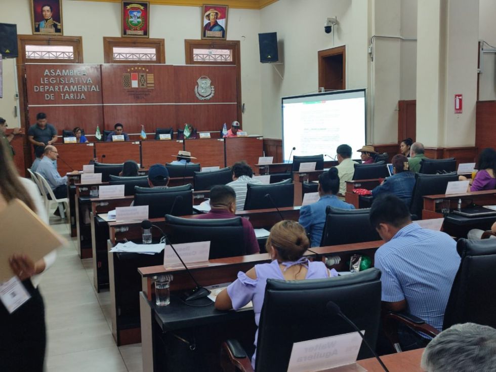 Tarija: La falta de consensos frena la ley para reducir el número de asambleístas 