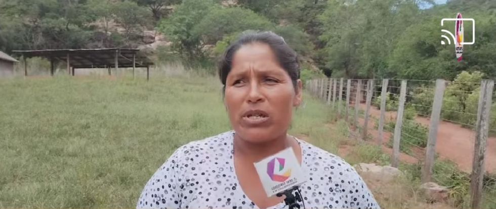 Entre Ríos: Julia Romero vive sin luz ni agua potable y camina dos horas para cargar su teléfono 