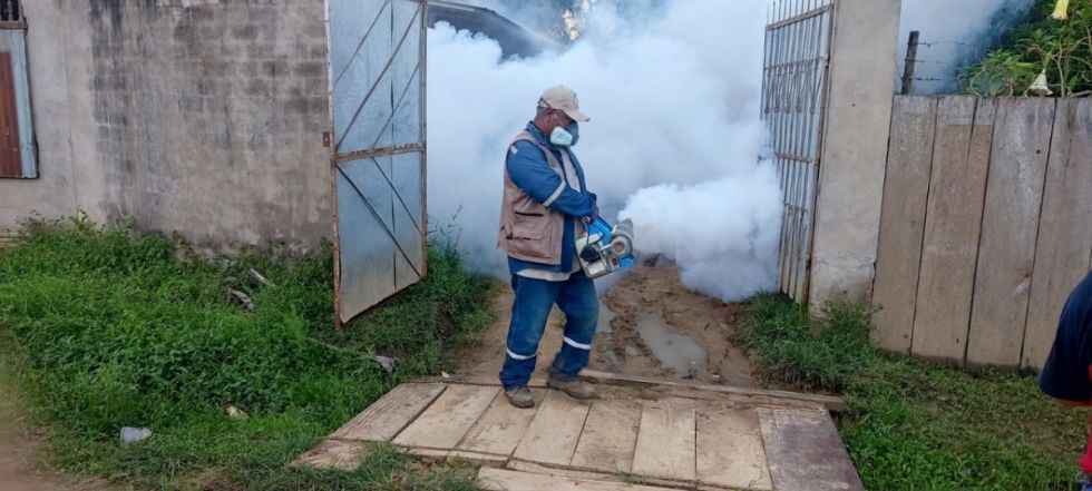 Tarija supera los mil casos de dengue