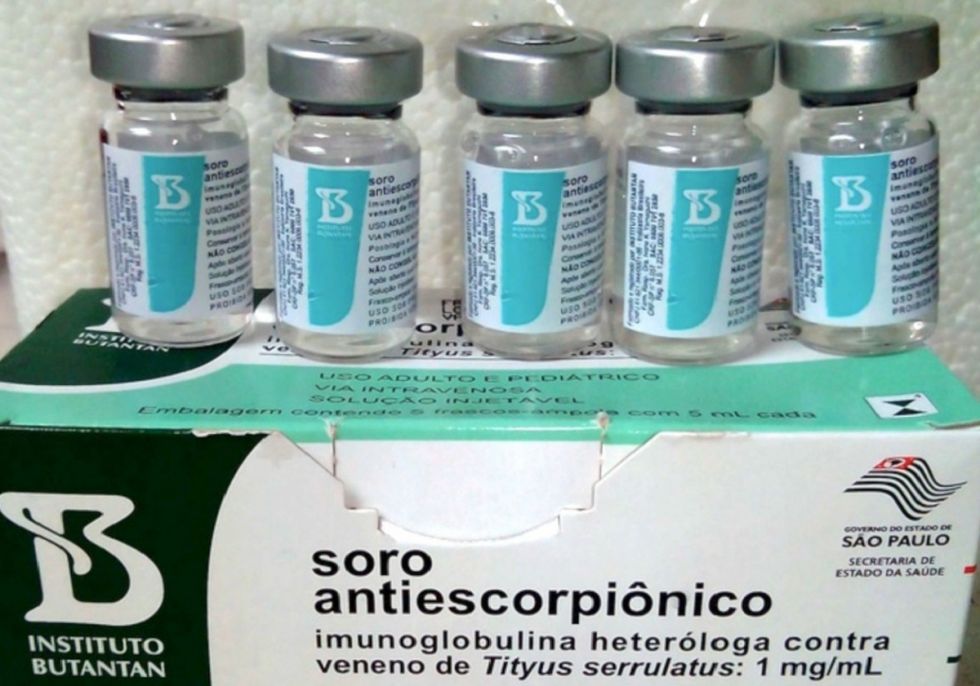 Salud recibirá 146 sueros contra picadura de alacrán