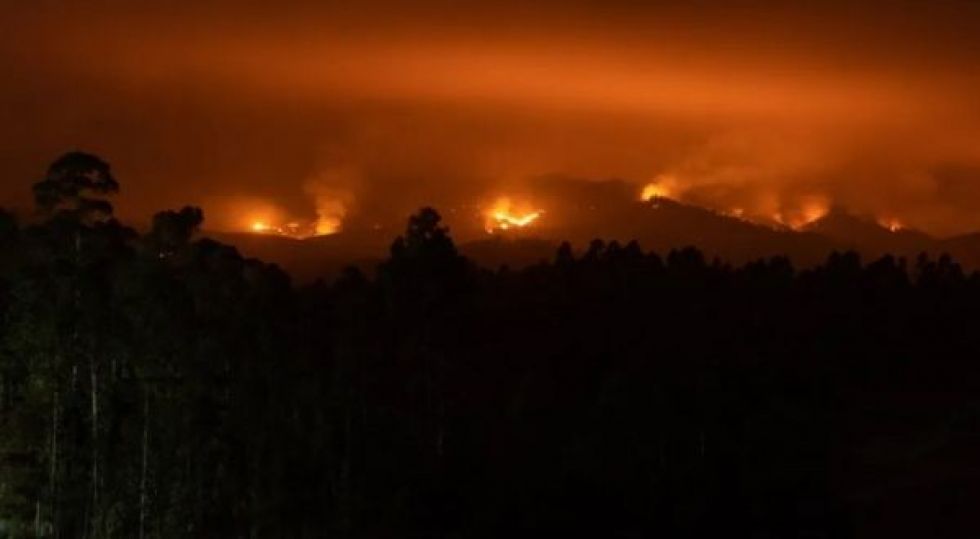 Tras incendios, Chile va rumbo a la reconstrucción